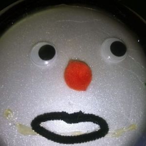 Meet your Posher, Bob